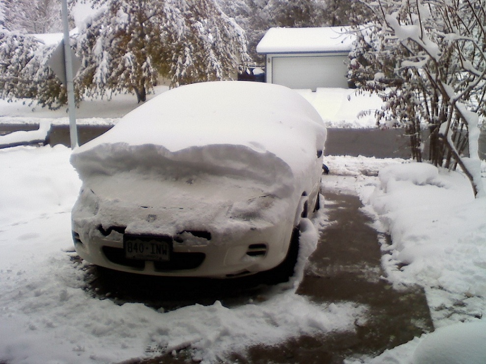 1029091548 reduced.jpg